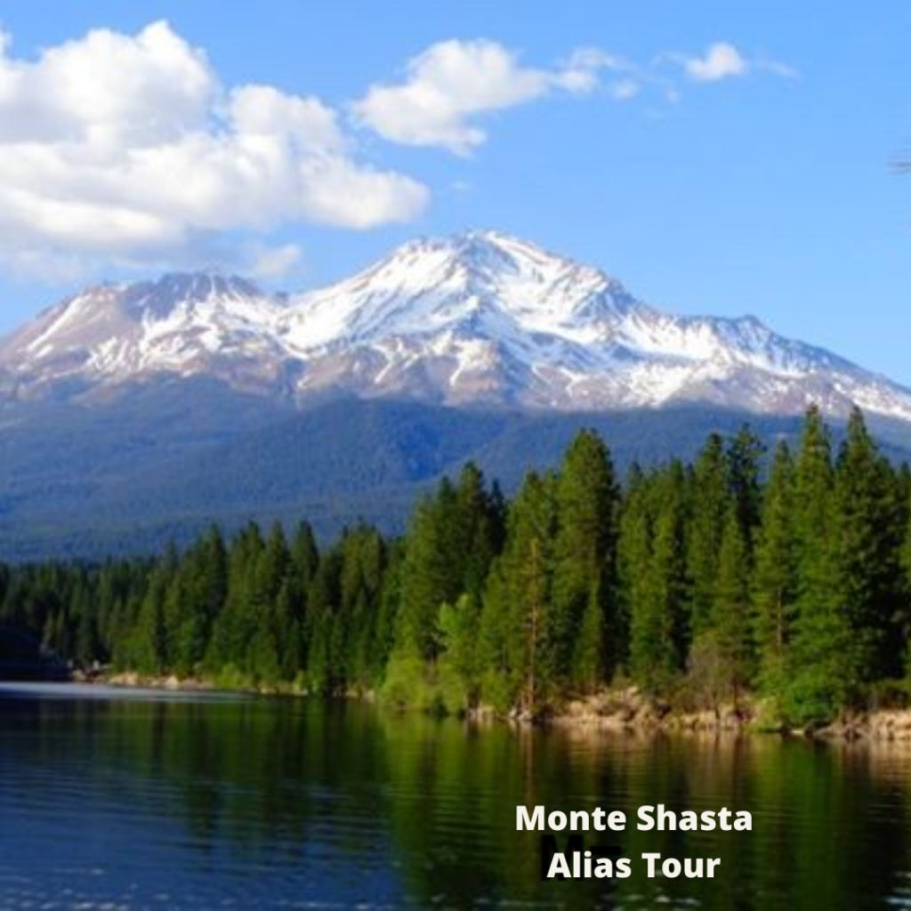 Citação Frase Papel Kraft Instagram Post